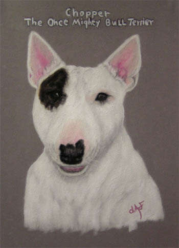 Fine Art Pet Portrait by Artist Donna Aldrich-Fontaine - Chopper.jpg